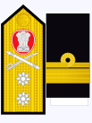 Rear Admiral