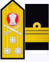 Vice Admiral